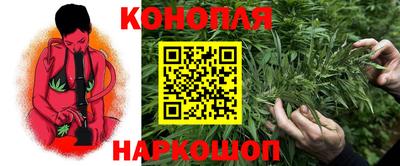 прущие грибы Аргун