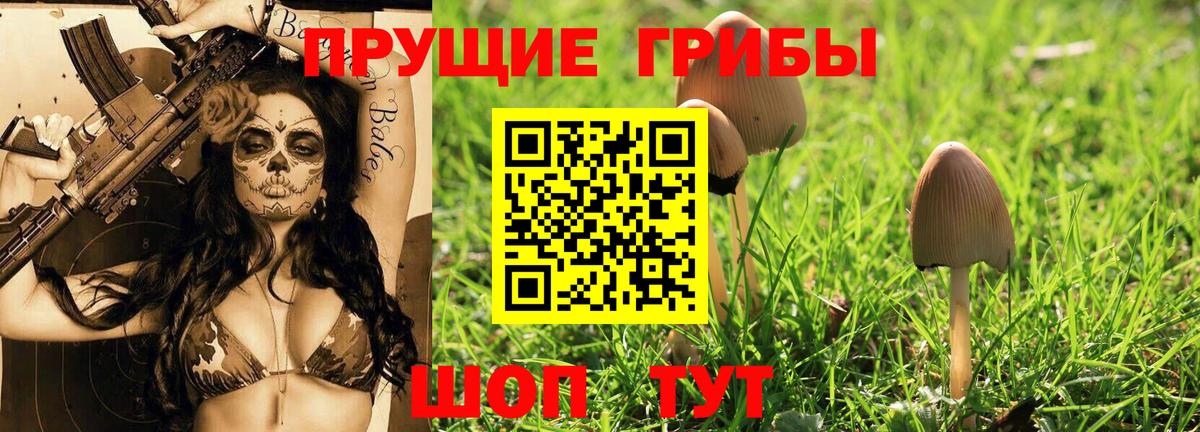 Псилоцибиновые грибы Psilocybine cubensis Белогорск