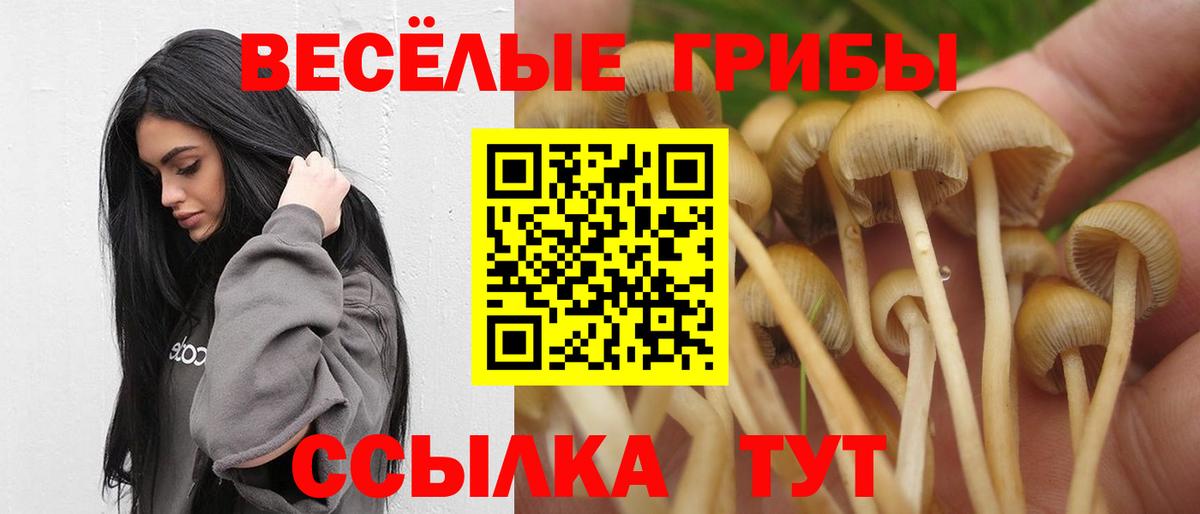 Белогорск  Галлюциногенные грибы мухоморы  Вход с VPN  купить наркоту  Псилоцибиновые грибы мухоморы 